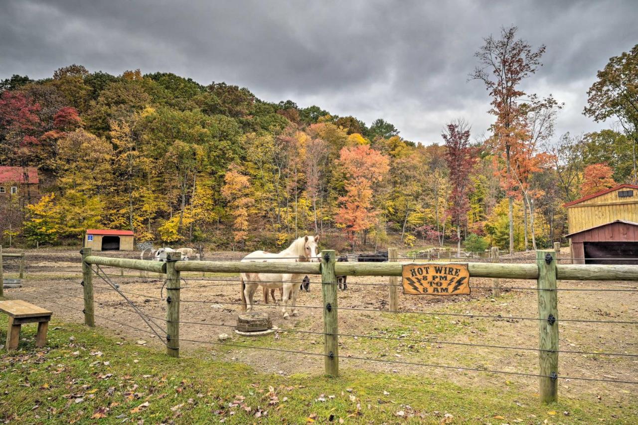 John Wayne Apartment - Deck, Bbq, Horses On-Site 亨丁顿 外观 照片